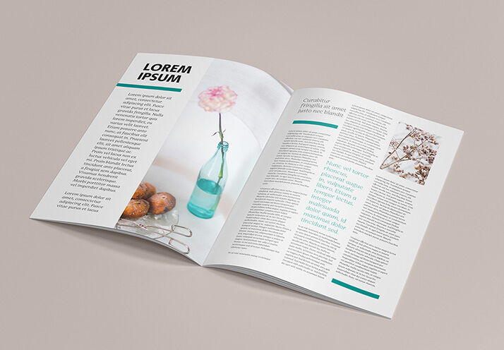 6 Mockups of A4 Brochures in Different Views