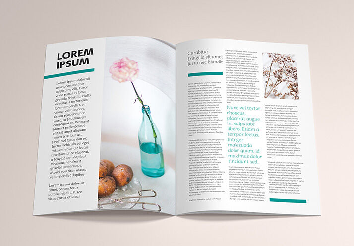 6 Mockups of A4 Brochures in Different Views