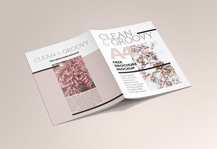 6 Mockups of A4 Brochures in Different Views