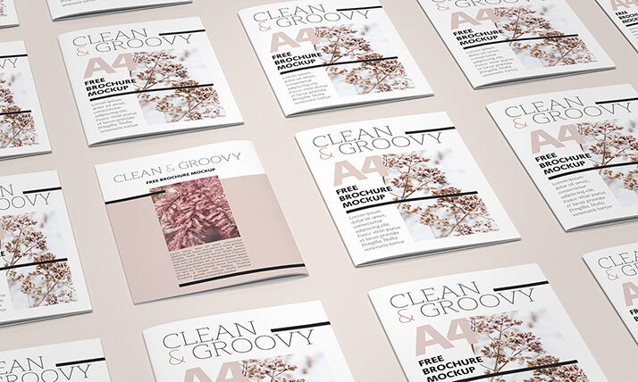 6 Mockups of A4 Brochures in Different Views