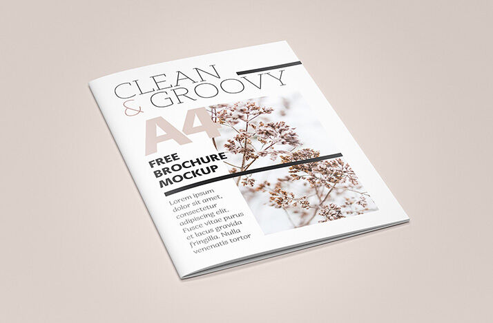 6 Mockups of A4 Brochures in Different Views