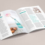 6 Mockups of A4 Brochures in Different Views