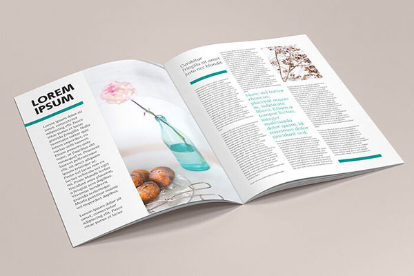 6 Mockups of A4 Brochures in Different Views