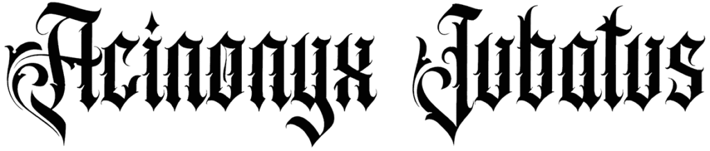 Acinonyx Jubatus Font