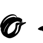 And so Hello Font