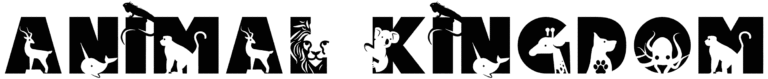 Animal Kingdom Font