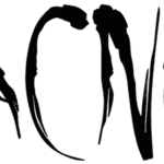 Aracnoide Font