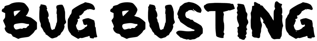 b Bug Busting Font