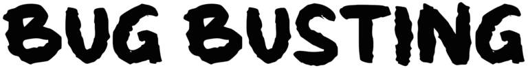 b Bug Busting Font
