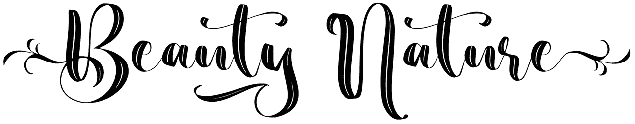 Beauty Nature Font