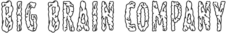Big Brain Company Font