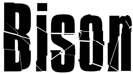 Bison Font