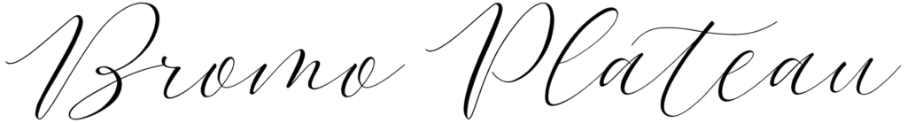 Bromo Plateau Script Font