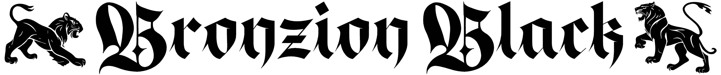 Bronzion Black Font