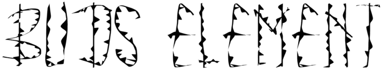 Buds Element Font