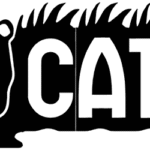 Cat Font