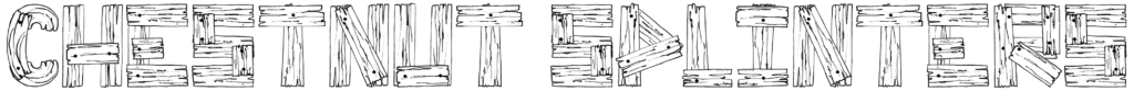 Chestnut Splinters Font