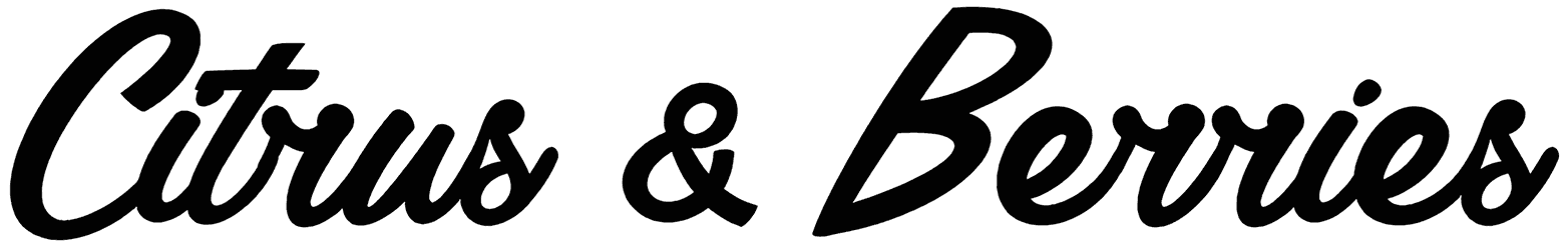 Citrus Berries Font