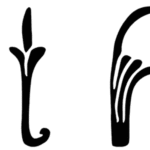 Coral Fobia Font