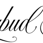 Daisybud Script Font