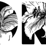 Floral Font