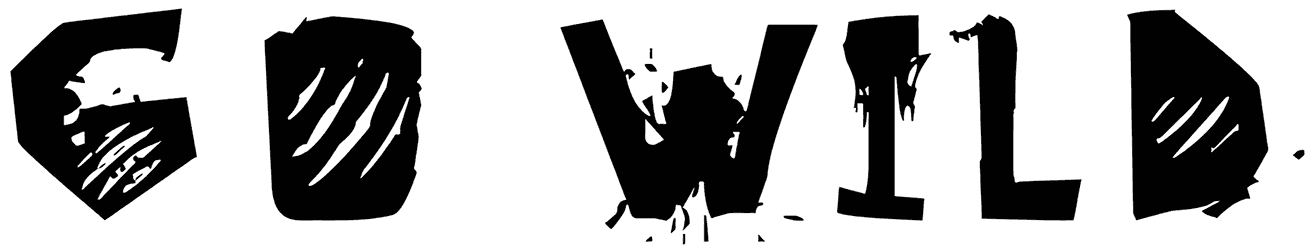 Go Wild Font