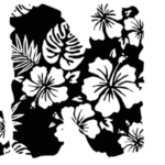 Hawaiian Dreams Font