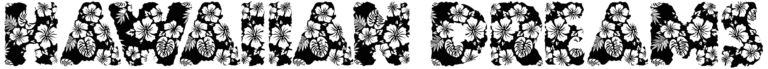 Hawaiian Dreams Font