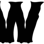 Haweni Font