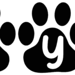 Kitty Paw Font
