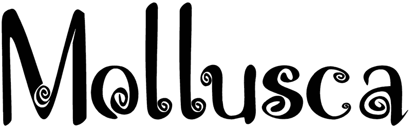 Mollusca Font