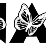 Monarch Font