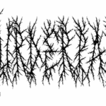 Murder Park Font