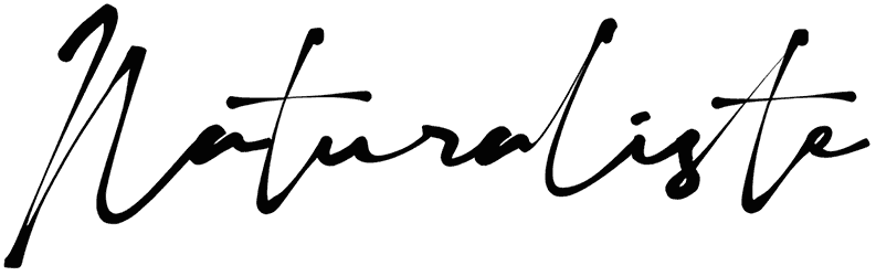 Naturaliste Font