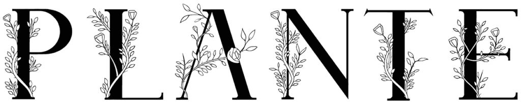 Plante Font
