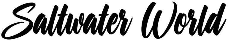 Saltwater World Font