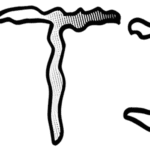Secret Tickle MB Font