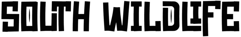 South Wildlife Font