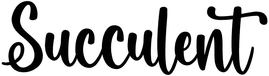 Succulent Font