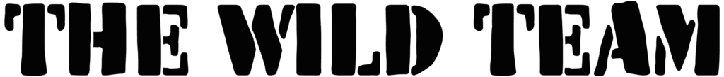 The Wild Team Font