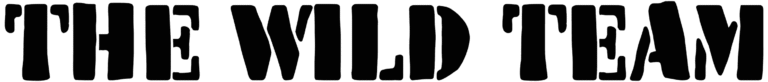 The Wild Team Font
