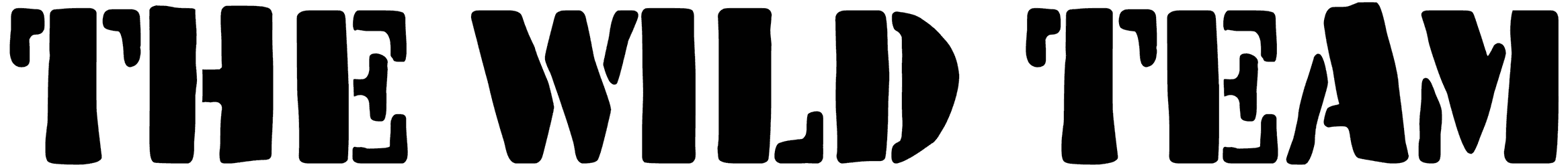 The Wild Team Font