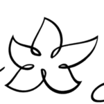 White Lotus Font
