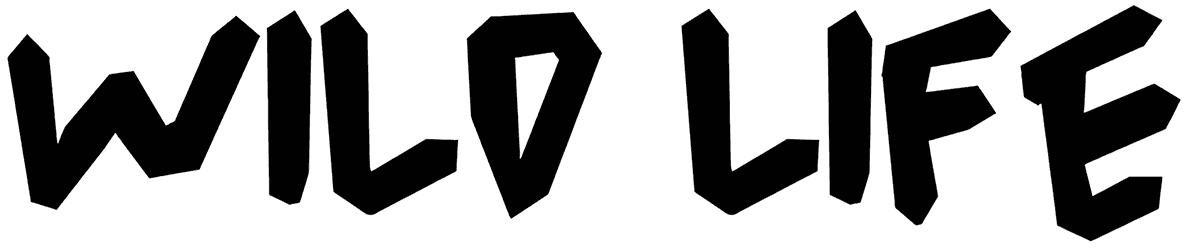 Wild Life Font
