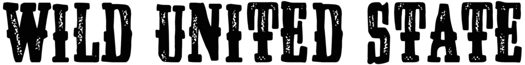 Wild United State Font
