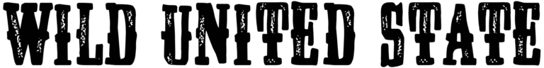 Wild United State Font