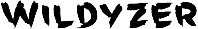 Wildyzer Font