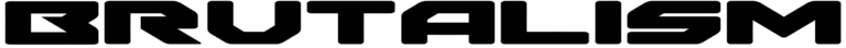 Y2K Brutalism Font