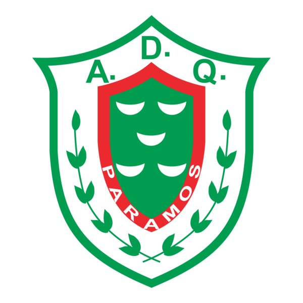 AD Quinta de Paramos logo
