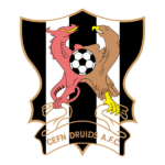 AFC Newi Cefn Druids logo